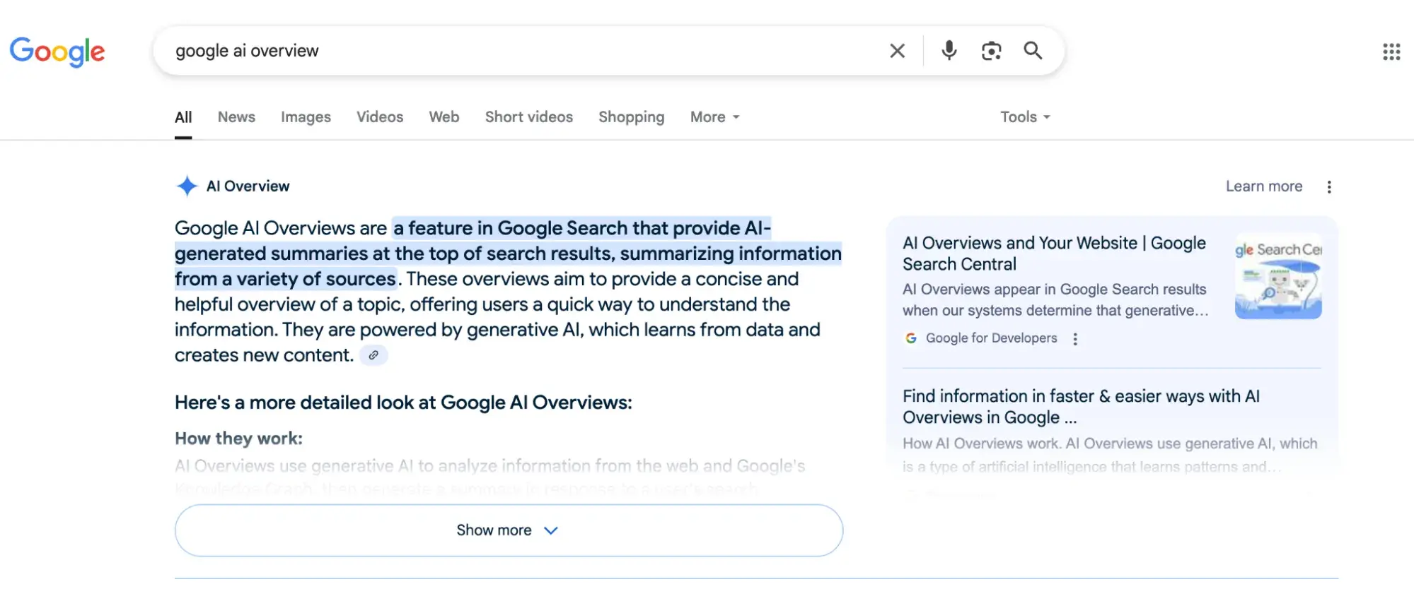 google ai overview search, google