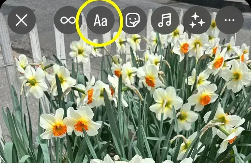 a screenshot showcasing how instagram users can access type mode through instagram stories  The
