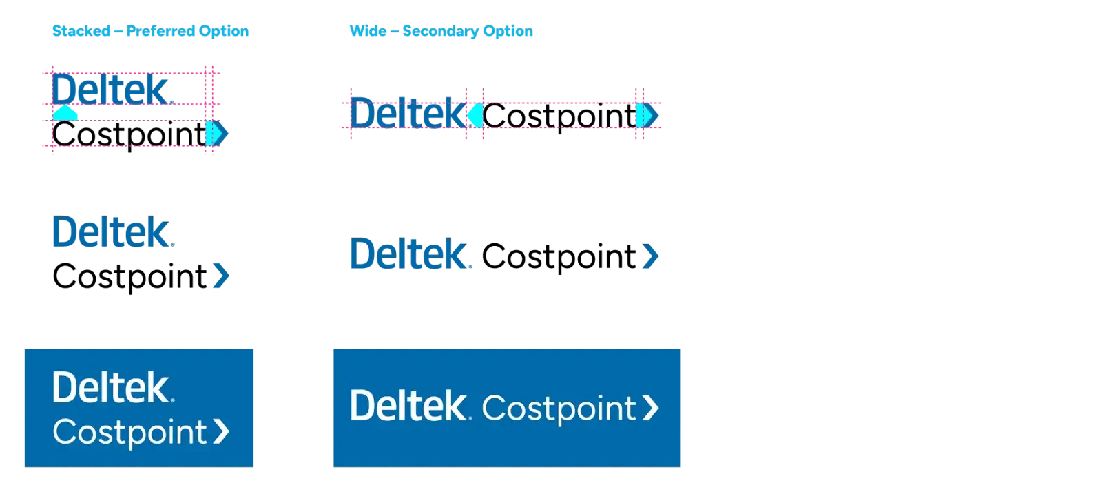 deltek brand style guide examples
